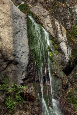 Sonbahar görünümü Samodivsko praskalo şelale, Rodop Dağları, Bulgaristan