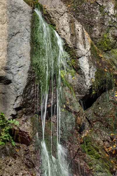 保加利亚罗多普山脉 Samodivsko Praskalo 瀑布的秋天景色 — 图库照片