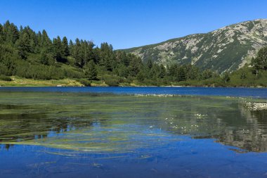 Balık Vasilashko gölü ile Manzara, Pirin Dağı, Bulgaristan