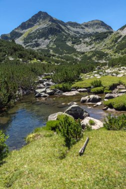 Valyavitsa Nehri ve Valyavishki kınalı tepe, Pirin Dağı, Bulgaristan ile manzara