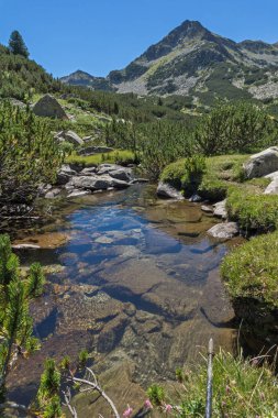Valyavitsa Nehri ve Valyavishki kınalı tepe, Pirin Dağı, Bulgaristan ile manzara