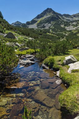Valyavitsa Nehri ve Valyavishki kınalı tepe, Pirin Dağı, Bulgaristan ile manzara
