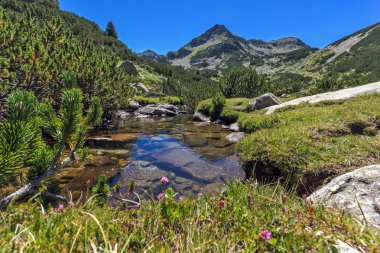 Valyavitsa Nehri ve Valyavishki kınalı tepe, Pirin Dağı, Bulgaristan ile manzara