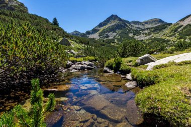 Valyavitsa Nehri ve Valyavishki kınalı tepe, Pirin Dağı, Bulgaristan ile manzara