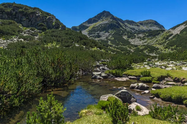 Landskap Med Valyavitsa Floden Och Valyavishki Berghöna Topp Berget Pirin — Stockfoto