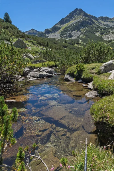 Landscape Dengan Sungai Valyavitsa Dan Puncak Valyavishki Chukar Gunung Pirin — Stok Foto