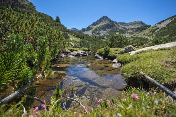 Paysage Avec Rivière Valyavitsa Sommet Chukar Valyavishki Montagne Pirin Bulgarie — Photo