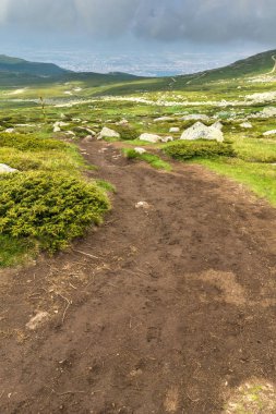 Vitosha Mountain yakınındaki Cherni Vrah tepe, Sofya şehir bölge, Bulgaristan'ın yeşil tepeleri ile manzara