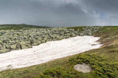 Vitosha Mountain yakınındaki Cherni Vrah tepe, Sofya şehir bölge, Bulgaristan'ın yeşil tepeleri ile manzara
