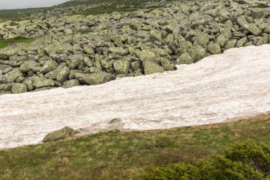 Vitosha Mountain yakınındaki Cherni Vrah tepe, Sofya şehir bölge, Bulgaristan'ın yeşil tepeleri ile manzara