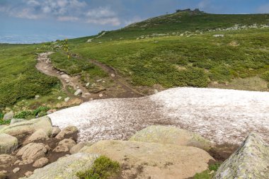 Vitosha Mountain yakınındaki Cherni Vrah tepe, Sofya şehir bölge, Bulgaristan'ın yeşil tepeleri ile manzara