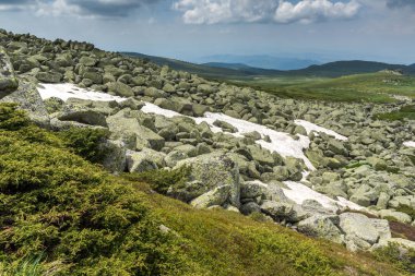 Vitosha Mountain yakınındaki Cherni Vrah tepe, Sofya şehir bölge, Bulgaristan'ın yeşil tepeleri ile manzara