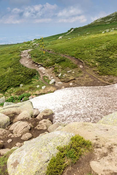 Krajina Zelenými Kopci Pohoří Vitoša Nedaleko Cherni Vrah Peak Region — Stock fotografie