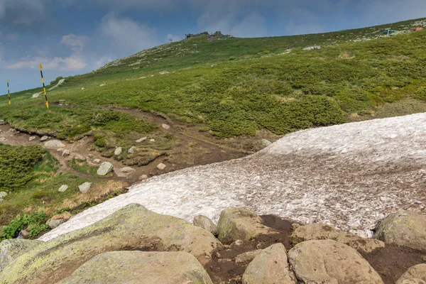 Vitosha Mountain yakınındaki Cherni Vrah tepe, Sofya şehir bölge, Bulgaristan'ın yeşil tepeleri ile manzara