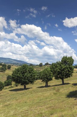 Bulgaristan 'ın Blagoevgrad bölgesindeki Ograzhden Dağı Yaz Manzarası