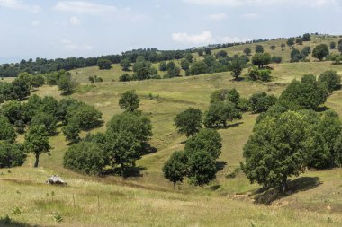 Bulgaristan 'ın Blagoevgrad bölgesindeki Ograzhden Dağı Yaz Manzarası