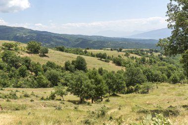 Bulgaristan 'ın Blagoevgrad bölgesindeki Ograzhden Dağı Yaz Manzarası