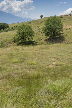 Bulgaristan 'ın Blagoevgrad bölgesindeki Ograzhden Dağı Yaz Manzarası