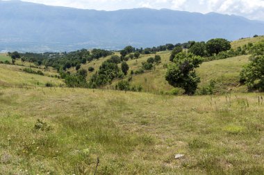 Bulgaristan 'ın Blagoevgrad bölgesindeki Ograzhden Dağı Yaz Manzarası