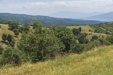 Bulgaristan 'ın Blagoevgrad bölgesindeki Ograzhden Dağı Yaz Manzarası