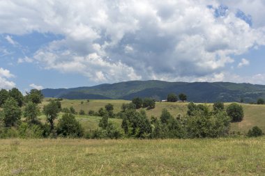Bulgaristan 'ın Blagoevgrad bölgesindeki Ograzhden Dağı Yaz Manzarası