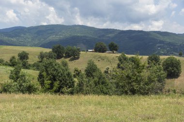 Bulgaristan 'ın Blagoevgrad bölgesindeki Ograzhden Dağı Yaz Manzarası