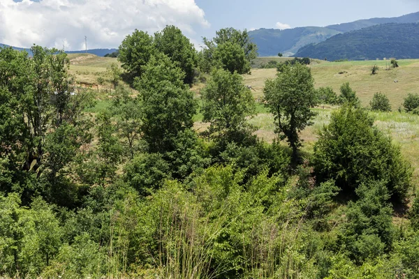 Zomer Landschap Van Ograzhden Mountain Blagoevgrad Regio Bulgarije — Stockfoto