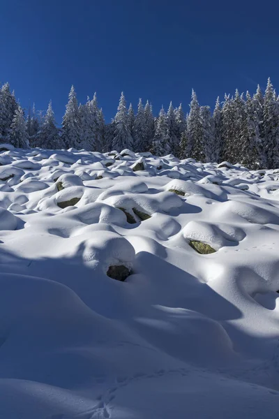 Niesamowite Zimowy Krajobraz Góry Witosza Śniegiem Pokryte Drzewami Region Miasta — Zdjęcie stockowe