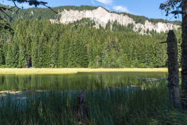 Yaz peyzaj çimenli (Trevistoto) Paşmaklı gölde Rodop Dağları, bölge Smolyan, Bulgaristan