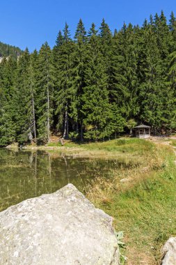 Yaz peyzaj Saladzha Paşmaklı gölde Rodop Dağları, bölge Smolyan, Bulgaristan