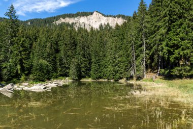 Yaz peyzaj Saladzha Paşmaklı gölde Rodop Dağları, bölge Smolyan, Bulgaristan
