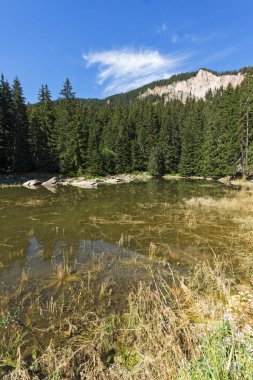 Yaz peyzaj Saladzha Paşmaklı gölde Rodop Dağları, bölge Smolyan, Bulgaristan