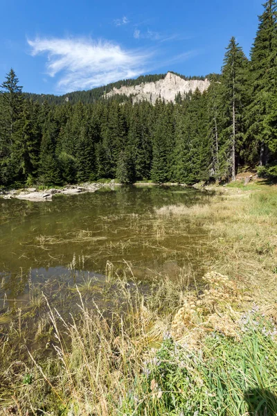 Letní Krajina Saladzha Smoljan Plesa Regionu Rhodope Mountains Smolyan Region — Stock fotografie