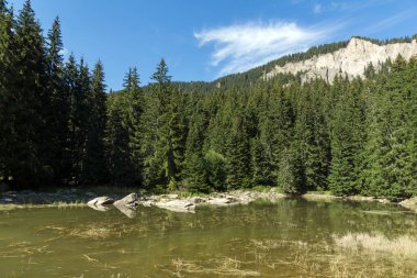 Yaz peyzaj Saladzha Paşmaklı gölde Rodop Dağları, bölge Smolyan, Bulgaristan