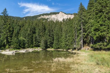 Yaz peyzaj Saladzha Paşmaklı gölde Rodop Dağları, bölge Smolyan, Bulgaristan