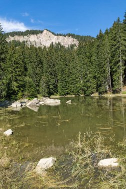 Yaz peyzaj Saladzha Paşmaklı gölde Rodop Dağları, bölge Smolyan, Bulgaristan