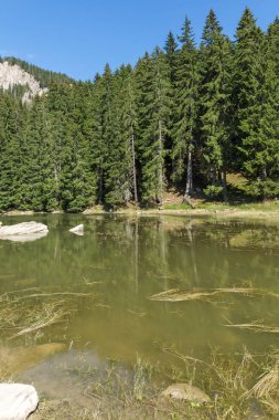 Yaz peyzaj Saladzha Paşmaklı gölde Rodop Dağları, bölge Smolyan, Bulgaristan