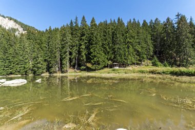 Yaz peyzaj Saladzha Paşmaklı gölde Rodop Dağları, bölge Smolyan, Bulgaristan