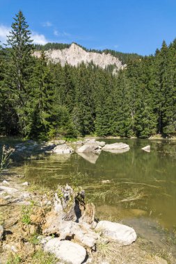 Yaz peyzaj Saladzha Paşmaklı gölde Rodop Dağları, bölge Smolyan, Bulgaristan