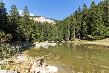 Yaz peyzaj Saladzha Paşmaklı gölde Rodop Dağları, bölge Smolyan, Bulgaristan