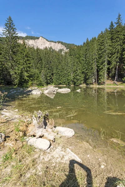 ロドピ山脈 スモリャン市地域 ブルガリアで Saladzha スモリャン湖の夏の風景 — ストック写真