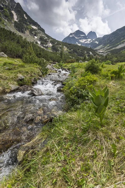 Landskap Med Mörka Moln Över Malyovitsa Peak Och Malyoviska Floden — Stockfoto