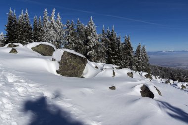 Bulgaristan 'ın Sofya Şehir Bölgesi, Vitosha Dağı' nın İnanılmaz Kış manzarası
