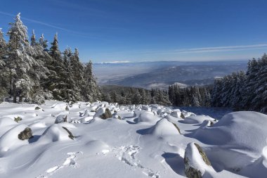 Bulgaristan 'ın Sofya Şehir Bölgesi, Vitosha Dağı' nın İnanılmaz Kış manzarası
