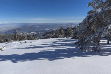 Bulgaristan 'ın Sofya Şehir Bölgesi, Vitosha Dağı' nın İnanılmaz Kış manzarası