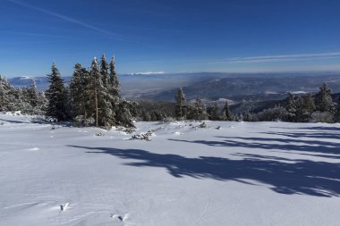 Bulgaristan 'ın Sofya Şehir Bölgesi, Vitosha Dağı' nın İnanılmaz Kış manzarası