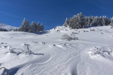 Bulgaristan 'ın Sofya Şehir Bölgesi, Vitosha Dağı' nın İnanılmaz Kış manzarası