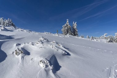 Bulgaristan 'ın Sofya Şehir Bölgesi, Vitosha Dağı' nın İnanılmaz Kış manzarası