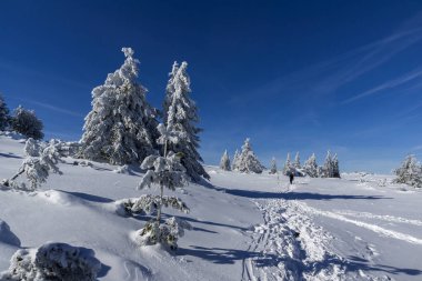 Bulgaristan 'ın Sofya Şehir Bölgesi, Vitosha Dağı' nın İnanılmaz Kış manzarası
