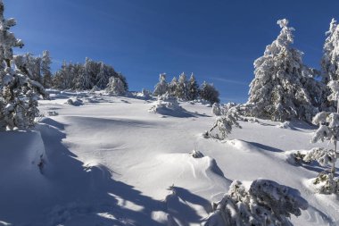 Bulgaristan 'ın Sofya Şehir Bölgesi, Vitosha Dağı' nın İnanılmaz Kış manzarası